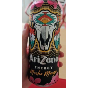 AriZona Energy Mango 500 ml | Tradewholesale 2