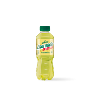 San Benedetto Energade Limone 50 cl | Tradewholesale 2